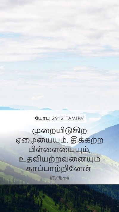 யோபு 29:12 TAMIRV Mobile Phone Wallpaper - முறையிடுகிற - Mobile Bible Verse Wallpaper