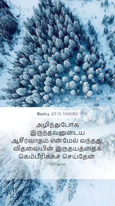 யோபு 29:13 TAMIRV Bible Verse Image