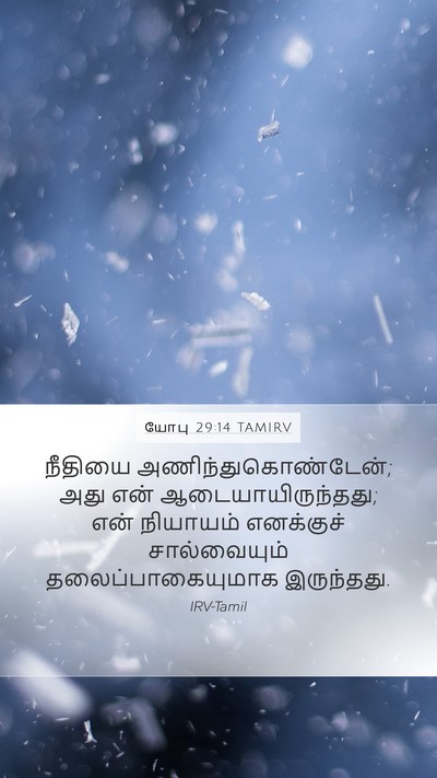 யோபு 29:14 TAMIRV Bible Verse Image