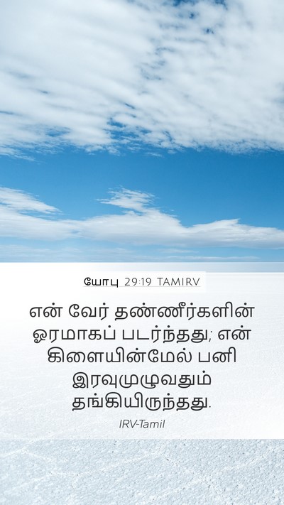 யோபு 29:19 TAMIRV Bible Verse Image