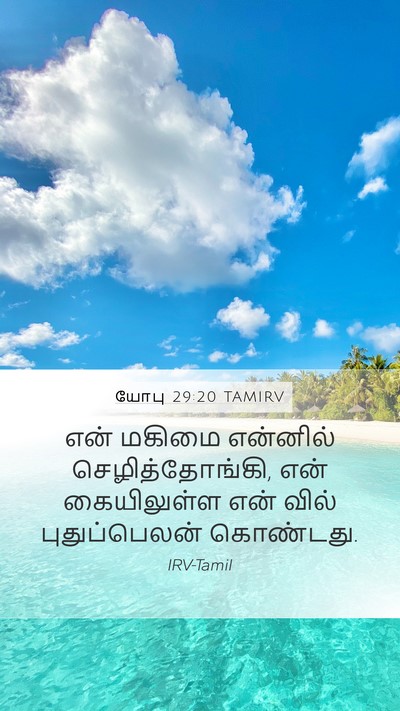 யோபு 29:20 TAMIRV Bible Verse Image