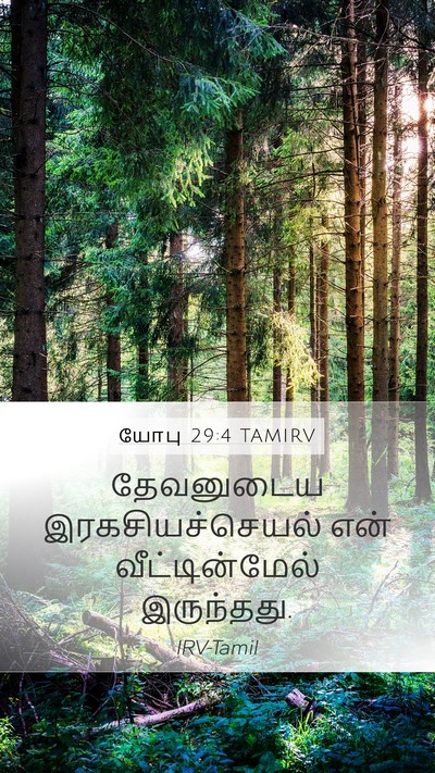 யோபு 29:4 TAMIRV Bible Verse Image