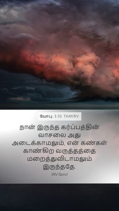 யோபு 3:10 TAMIRV Bible Verse Image