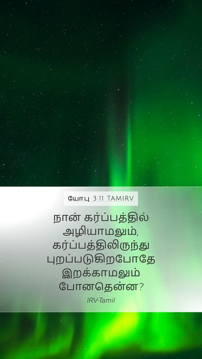 யோபு 3:11 TAMIRV Bible Verse Image