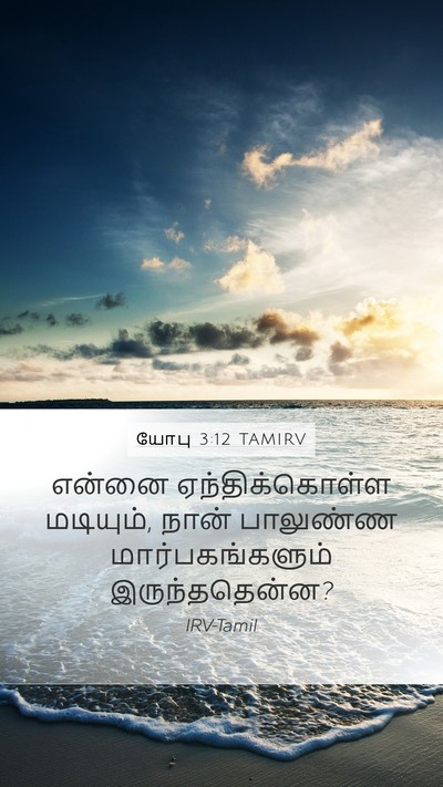 யோபு 3:12 TAMIRV Bible Verse Image