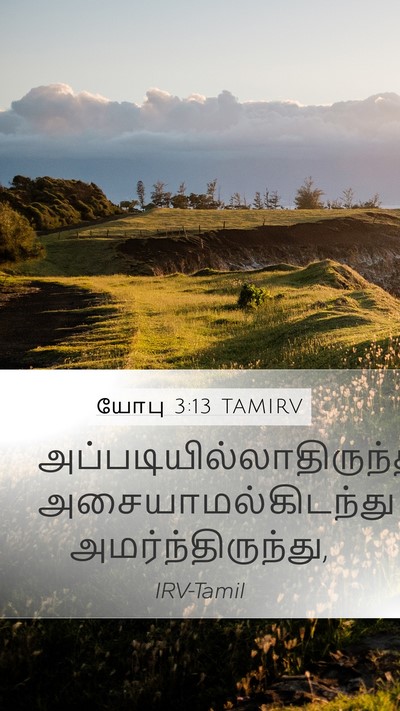 யோபு 3:13 TAMIRV Mobile Phone Wallpaper -  - Mobile Bible Verse Wallpaper