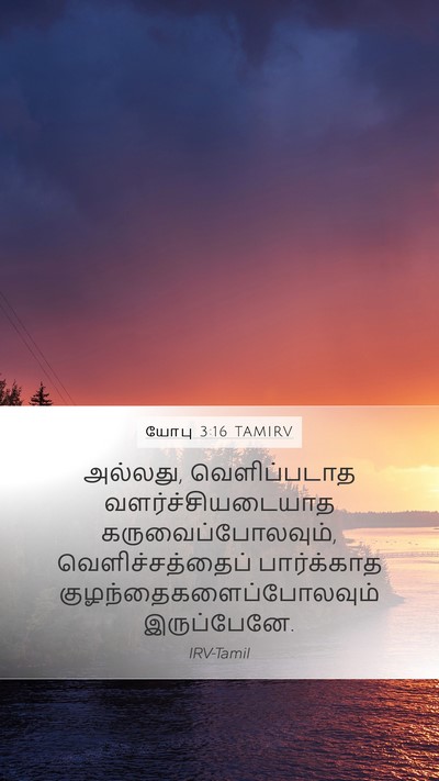 யோபு 3:16 TAMIRV Bible Verse Image