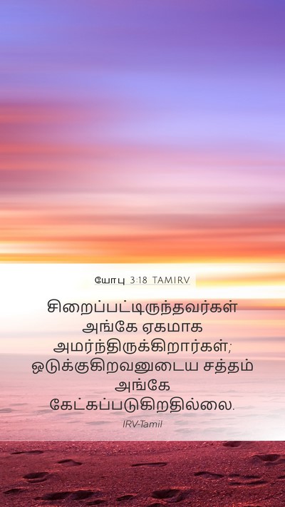 யோபு 3:18 TAMIRV Bible Verse Image