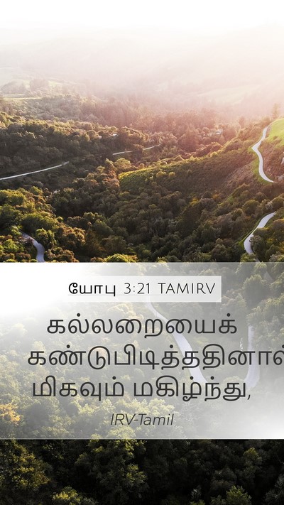 யோபு 3:21 TAMIRV Mobile Phone Wallpaper - கல்லறையைக் - Mobile Bible Verse Wallpaper