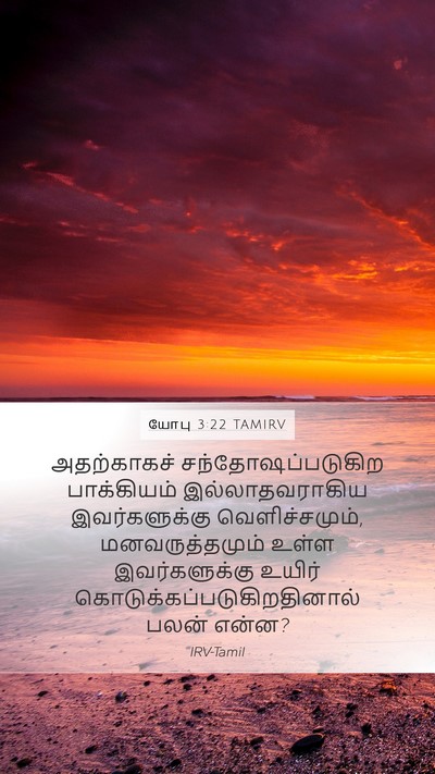 யோபு 3:22 TAMIRV Bible Verse Image
