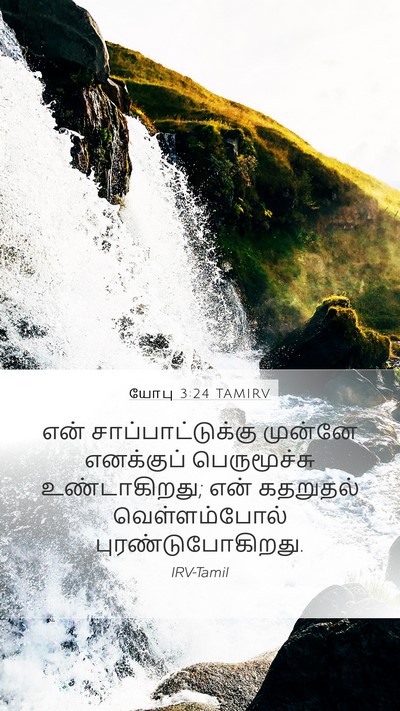 யோபு 3:24 TAMIRV Bible Verse Image