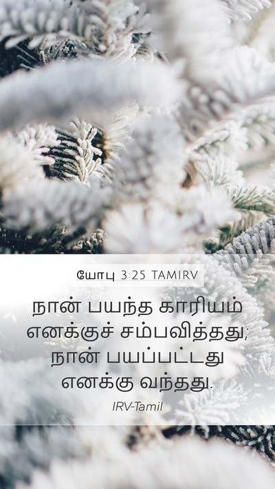 யோபு 3:25 TAMIRV Bible Verse Image