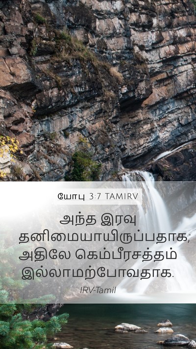 யோபு 3:7 TAMIRV Mobile Phone Wallpaper - அந்த இரவு - Mobile Bible Verse Wallpaper