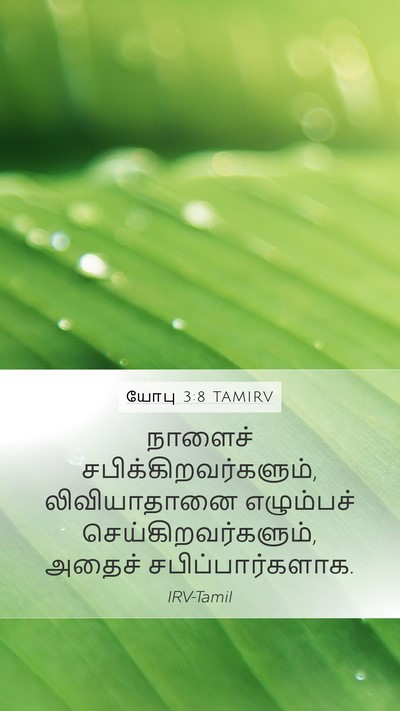 யோபு 3:8 TAMIRV Bible Verse Image