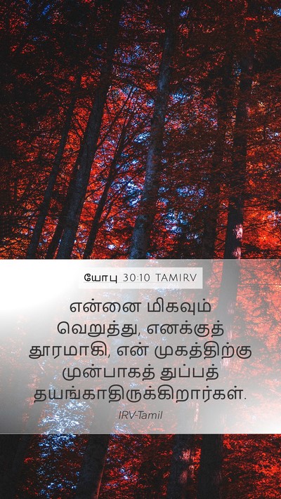 யோபு 30:10 TAMIRV Bible Verse Image