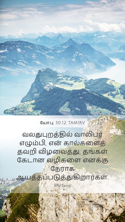யோபு 30:12 TAMIRV Bible Verse Image