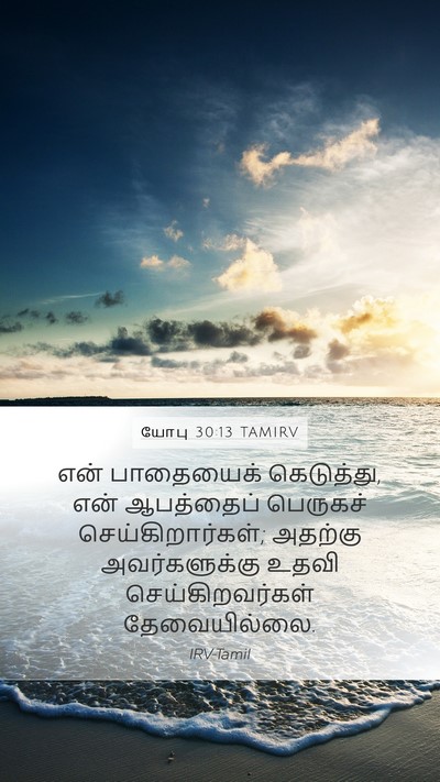 யோபு 30:13 TAMIRV Mobile Phone Wallpaper - என் பாதையைக் - Mobile Bible Verse Wallpaper