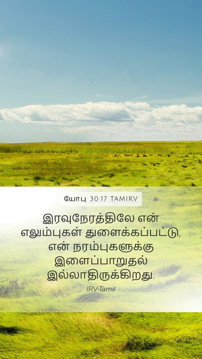 யோபு 30:17 TAMIRV Bible Verse Image