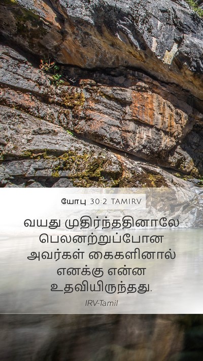 யோபு 30:2 TAMIRV Mobile Phone Wallpaper - வயது - Mobile Bible Verse Wallpaper