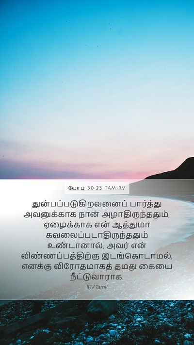 யோபு 30:25 TAMIRV Bible Verse Image