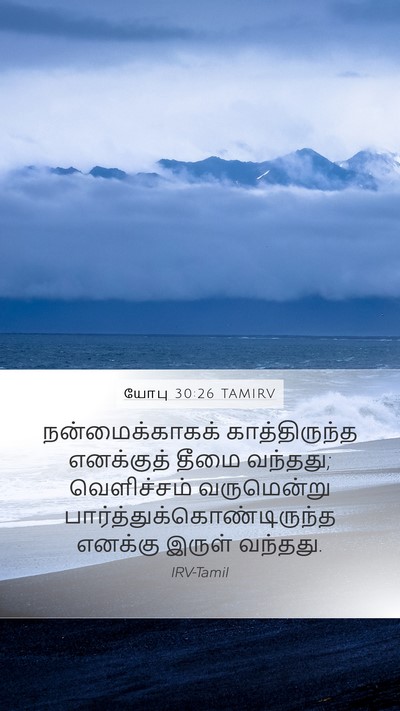 யோபு 30:26 TAMIRV Bible Verse Image