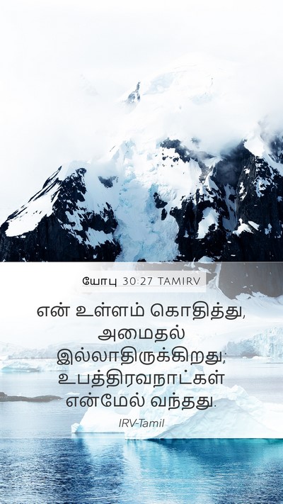 யோபு 30:27 TAMIRV Bible Verse Image