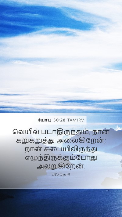 யோபு 30:28 TAMIRV Bible Verse Image