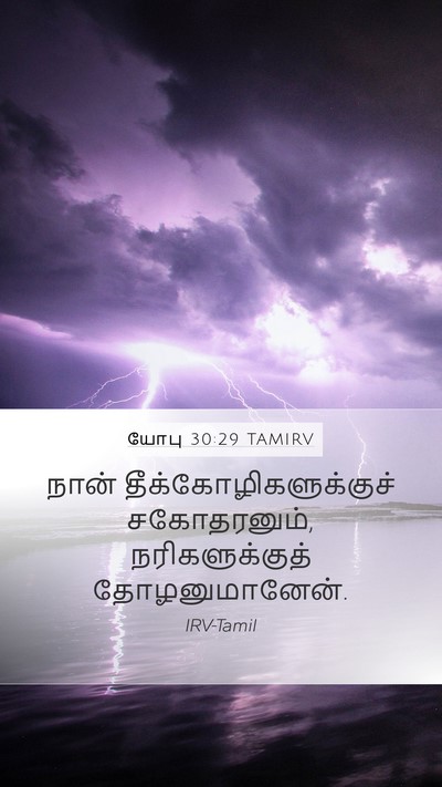 யோபு 30:29 TAMIRV Bible Verse Image