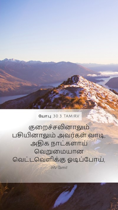 யோபு 30:3 TAMIRV Bible Verse Image