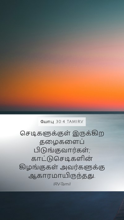 யோபு 30:4 TAMIRV Mobile Phone Wallpaper - செடிகளுக்குள் - Mobile Bible Verse Wallpaper