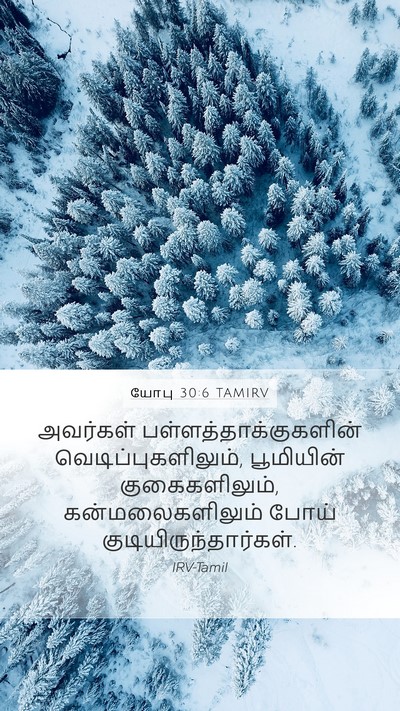 யோபு 30:6 TAMIRV Bible Verse Image