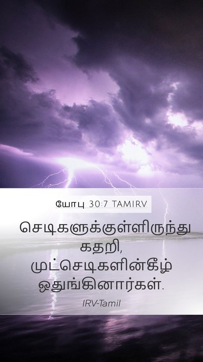 யோபு 30:7 TAMIRV Bible Verse Image