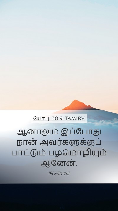 யோபு 30:9 TAMIRV Bible Verse Image
