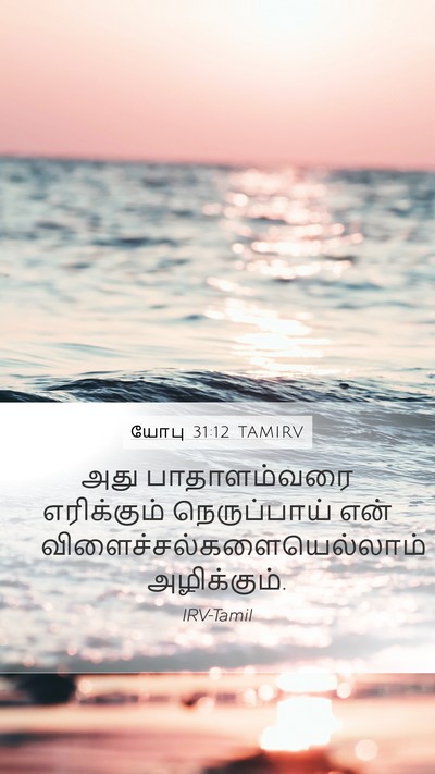 யோபு 31:12 TAMIRV Mobile Phone Wallpaper - அது பாதாளம்வரை - Mobile Bible Verse Wallpaper