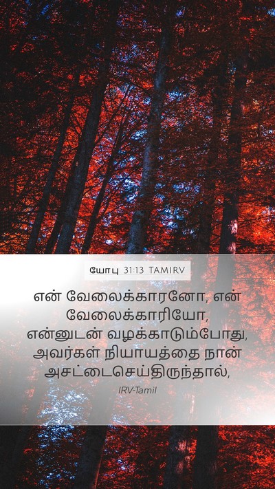 யோபு 31:13 TAMIRV Bible Verse Image