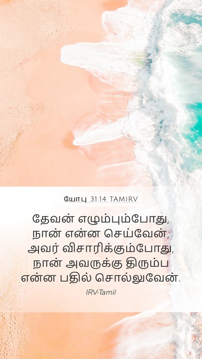 யோபு 31:14 TAMIRV Bible Verse Image