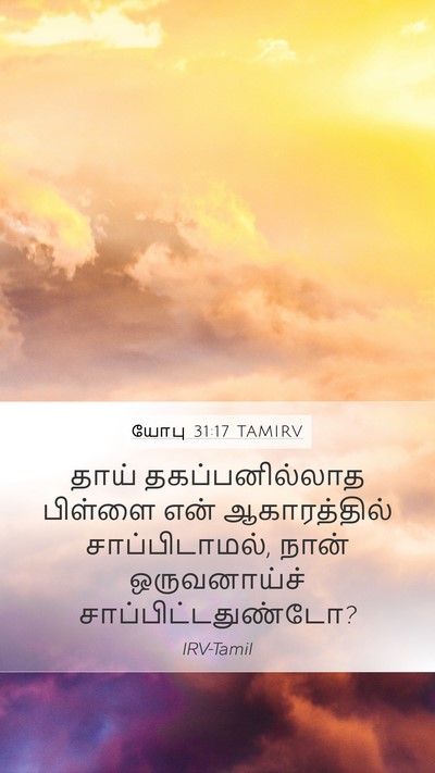 யோபு 31:17 TAMIRV Bible Verse Image