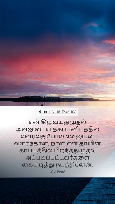 யோபு 31:18 TAMIRV Bible Verse Image