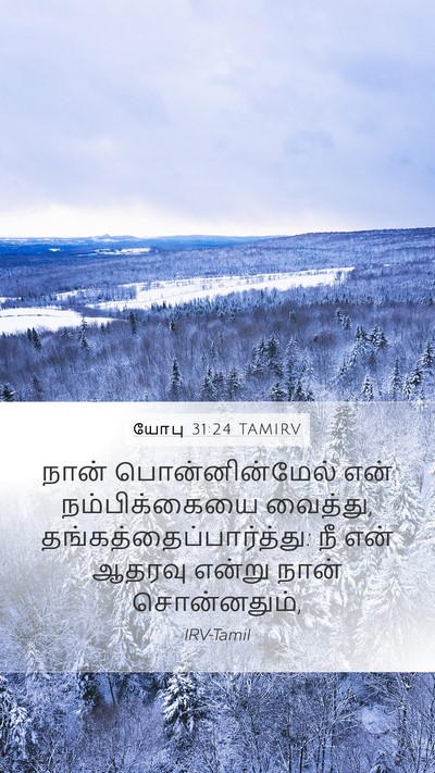 யோபு 31:24 TAMIRV Bible Verse Image