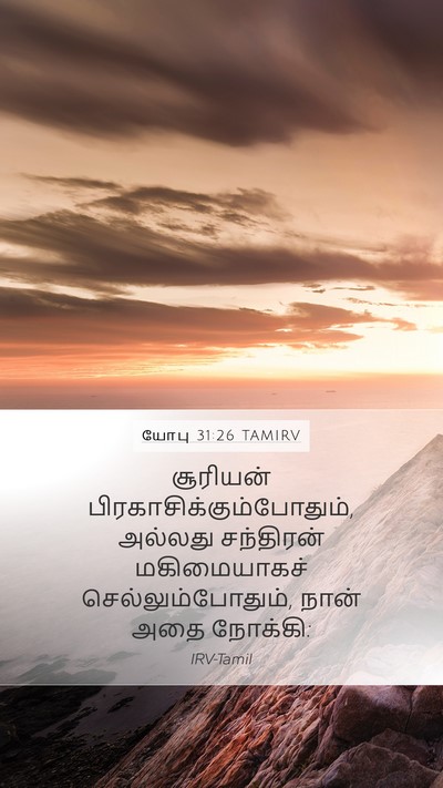 யோபு 31:26 TAMIRV Bible Verse Image