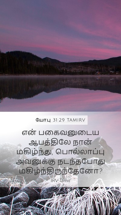 யோபு 31:29 TAMIRV Bible Verse Image