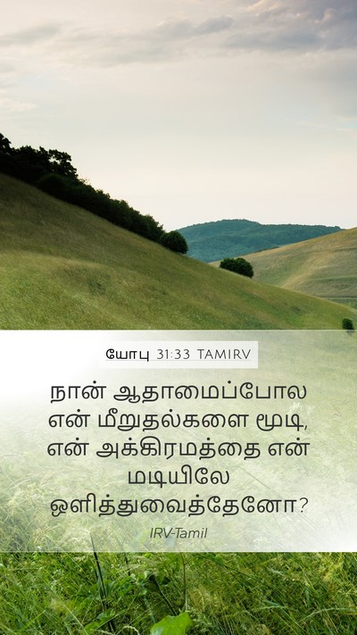 யோபு 31:33 TAMIRV Bible Verse Image