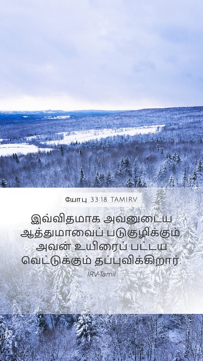 யோபு 33:18 TAMIRV Bible Verse Image