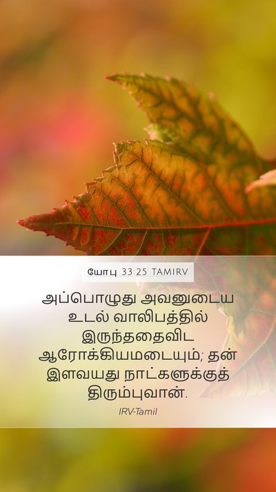 யோபு 33:25 TAMIRV Bible Verse Image