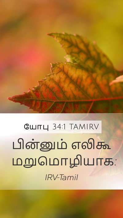 யோபு 34:1 TAMIRV Mobile Phone Wallpaper - பின்னும் எலிகூ - Mobile Bible Verse Wallpaper