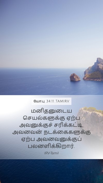 யோபு 34:11 TAMIRV Bible Verse Image