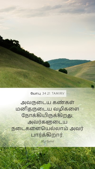 யோபு 34:21 TAMIRV Bible Verse Image