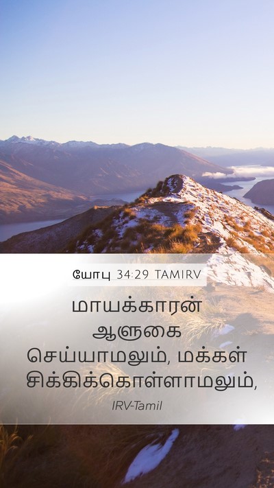 யோபு 34:29 TAMIRV Bible Verse Image
