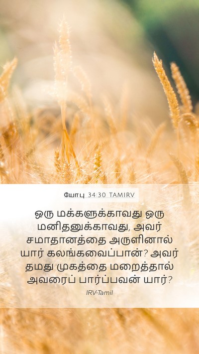 யோபு 34:30 TAMIRV Bible Verse Image