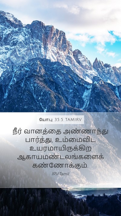 யோபு 35:5 TAMIRV Bible Verse Image